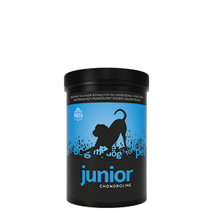 Chondroline Junior